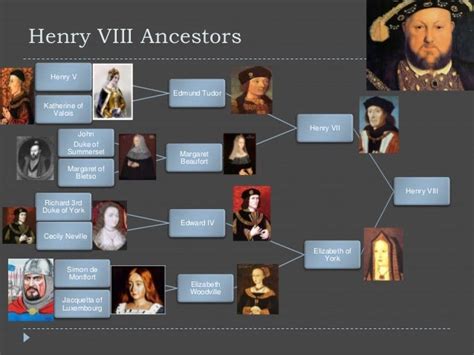 tudor heirs today|henry viii descendants today.